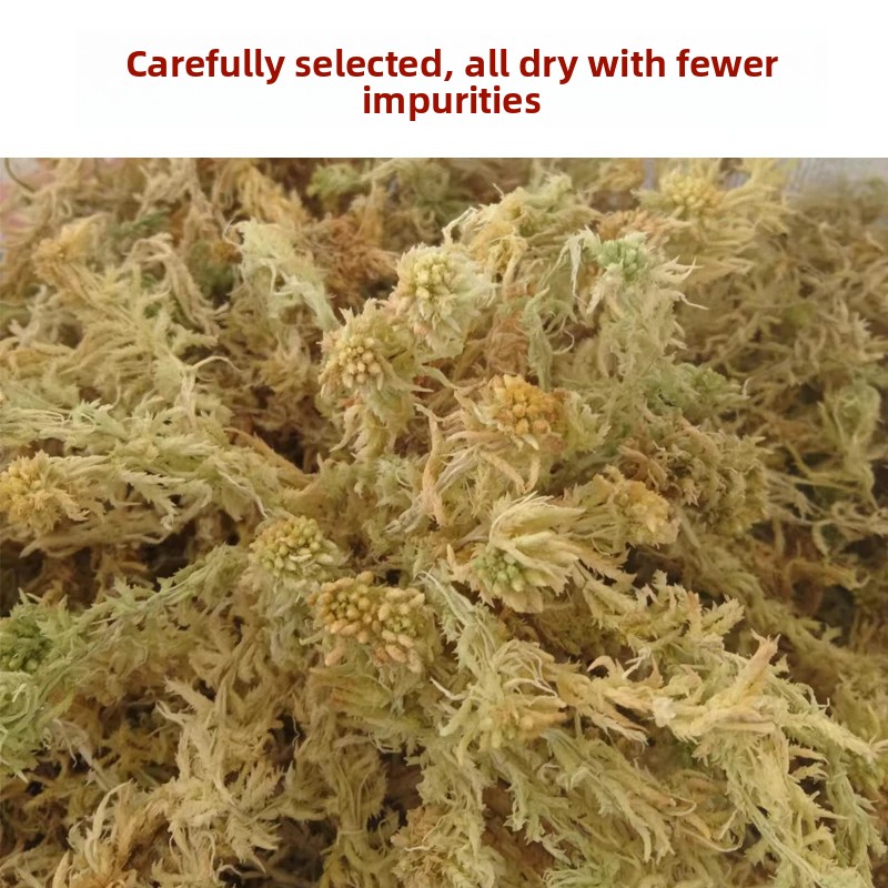มอสส์สปฟักนัมเกรดเอแบบแห้ง, วั - Preserved Moss Sheet บทวิจารณ์และราคา